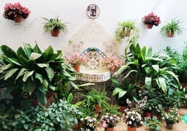 El patio de una casa de Alhaurín el Grande.