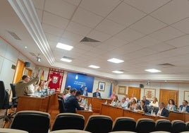 Votación en el pleno celebrado este jueves en Benalmádena.