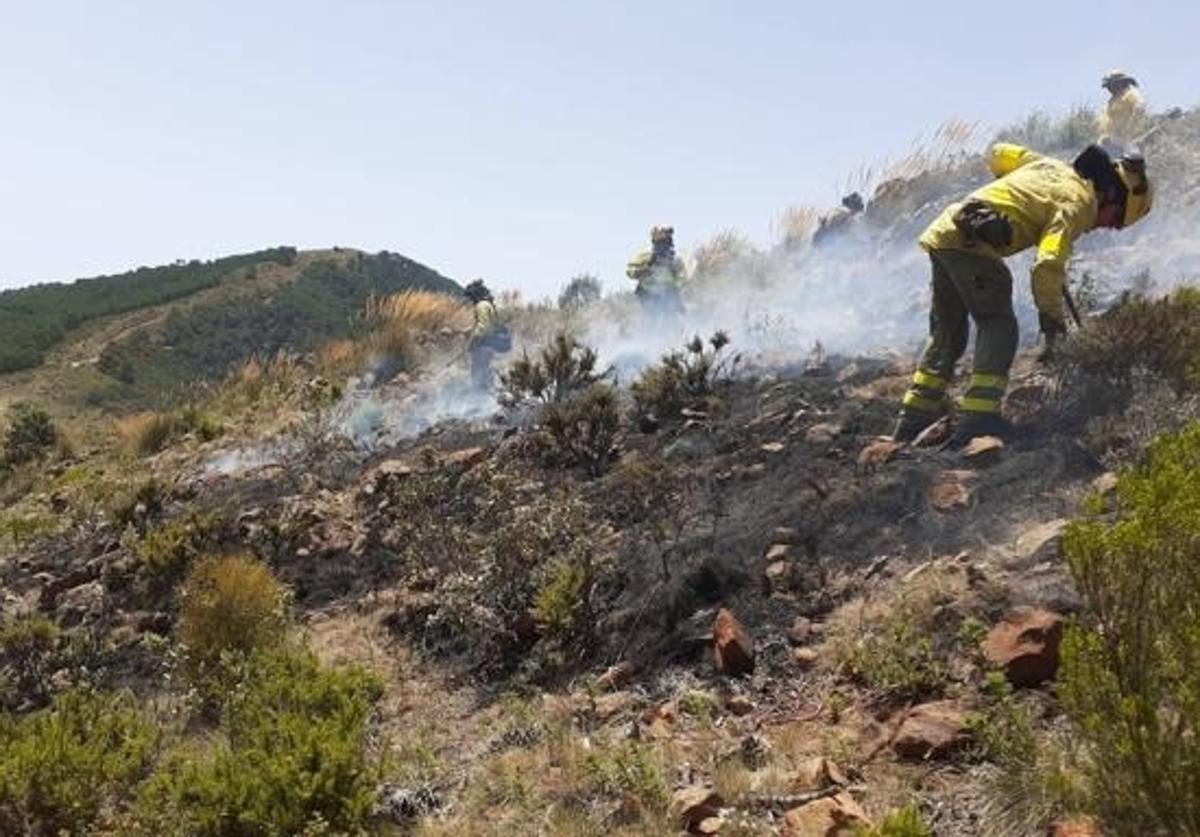 Nueva prohibición en las zonas forestales de Andalucía desde este sábado