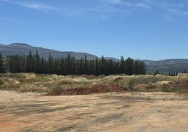 Los terrenos.