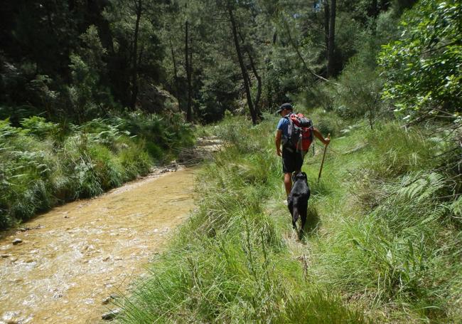 En la medida de lo posible hay que caminar por la ribera y no por el cauce