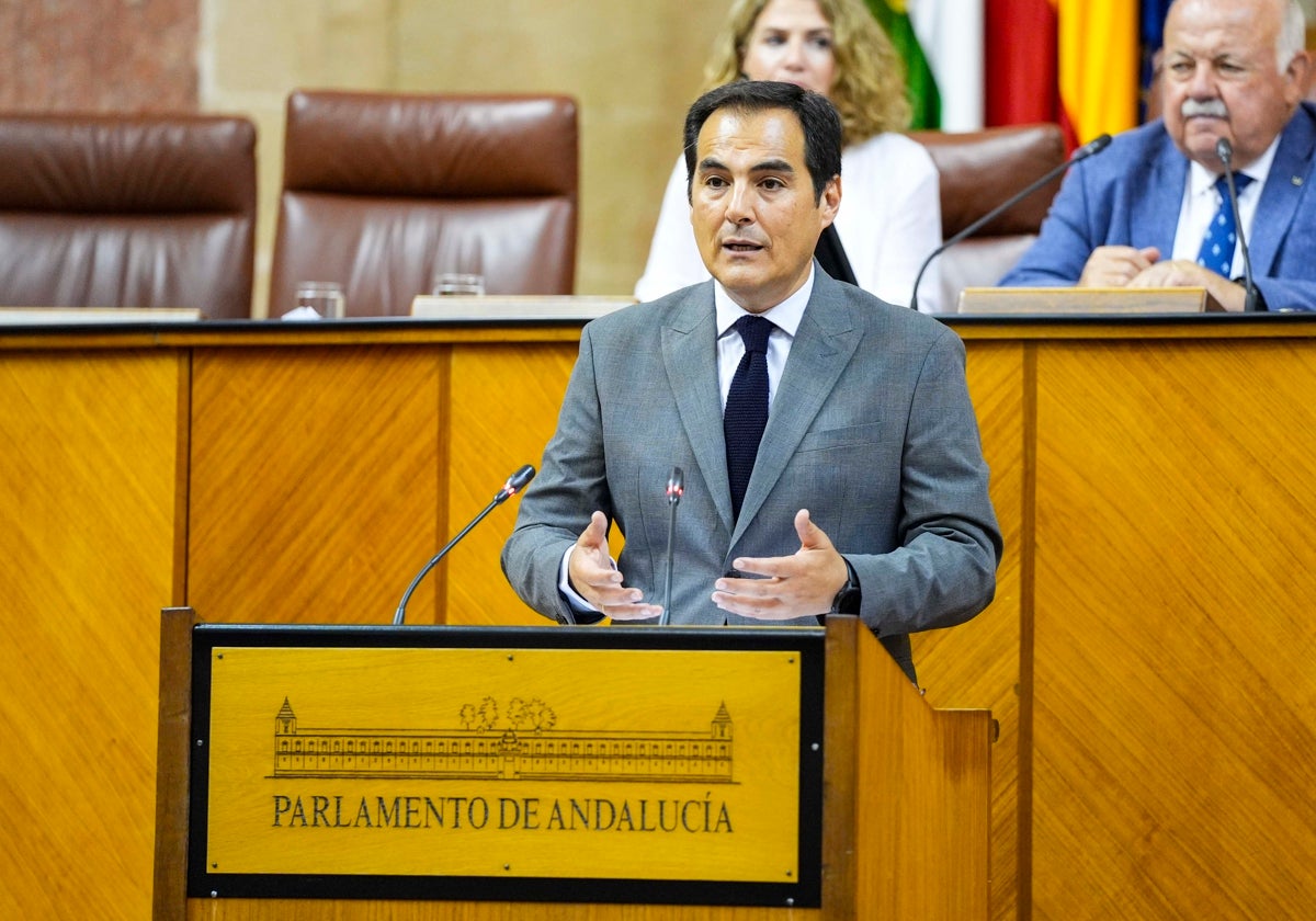 El consejero José Antonio Nieto, durante su intervención en el Parlamento.