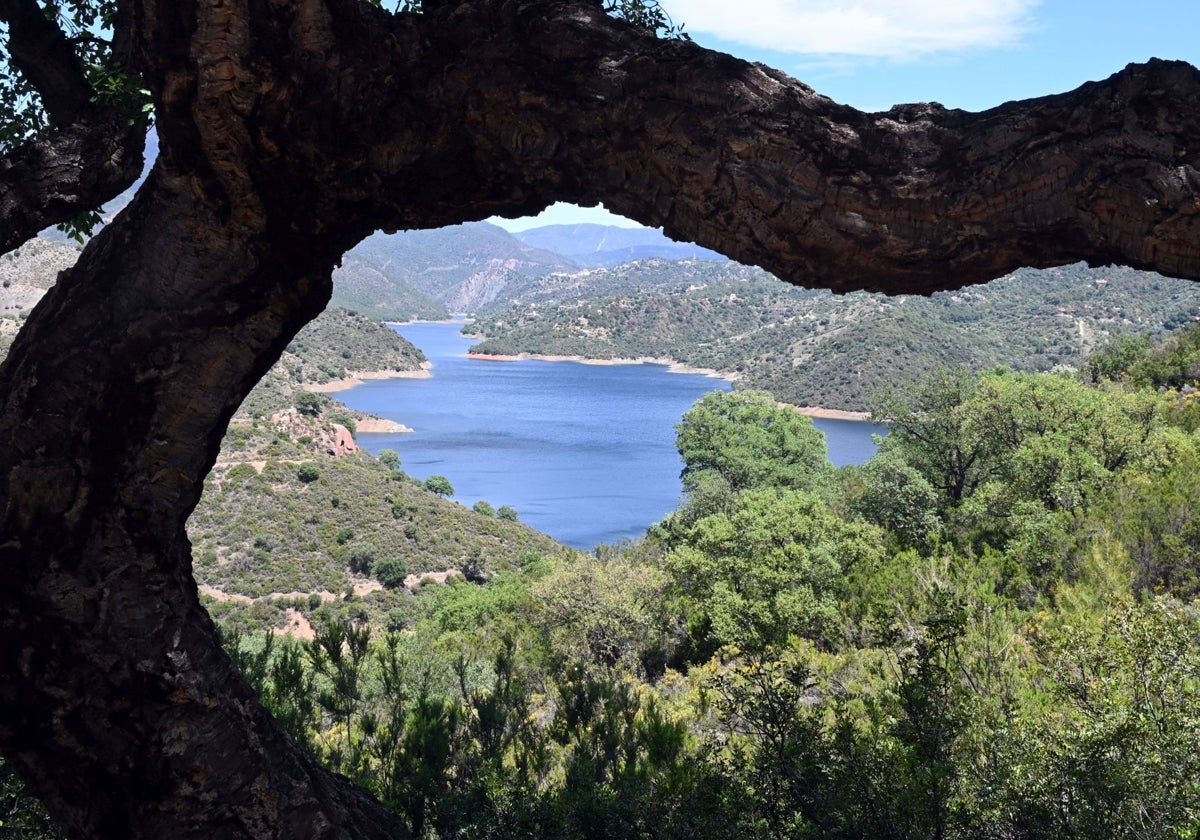 Imagen tomada hace unas semanas en el embalse de La Concepción.