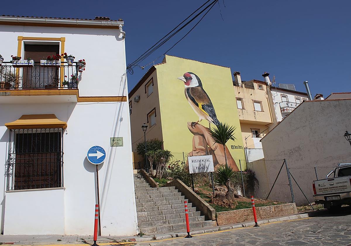 Cortes de la Frontera colorea sus paredes