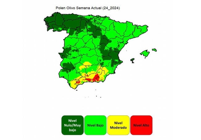 El polen de olivo comienza a retirarse del mapa provincial, tal y como se muestra en la web de la UCO.