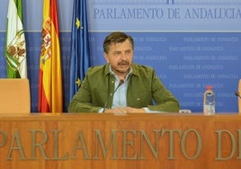 Toni Martín, portavoz parlamentario del PP-A.