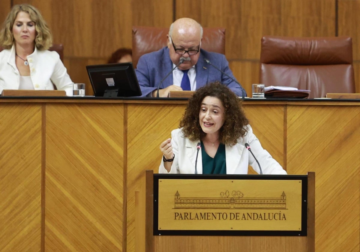 La portavoz parlamentaria de Por Andalucía, Inmaculada Nieto.