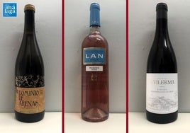 La cata: los vinos destacados de la última semana de junio