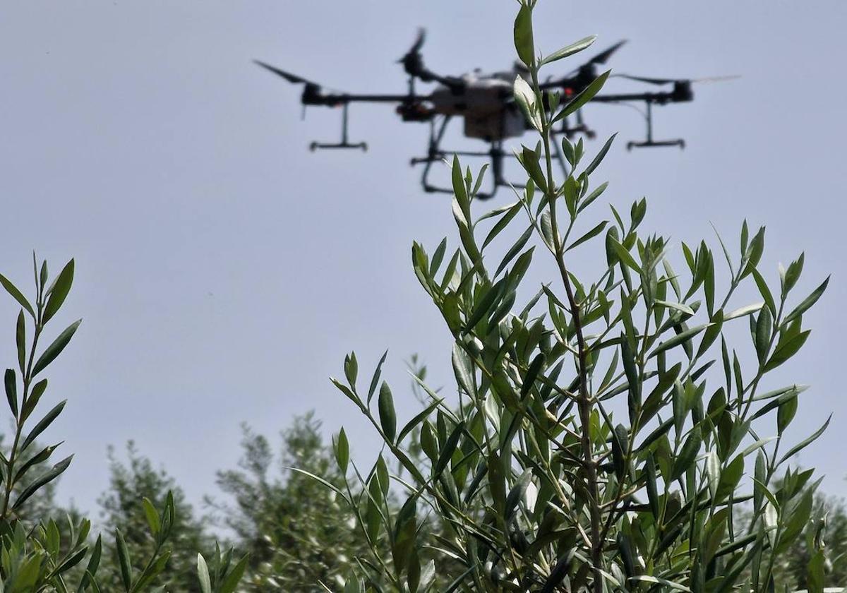 Cajamar impulsa la producción agrícola con la aplicación de las nuevas tecnologías