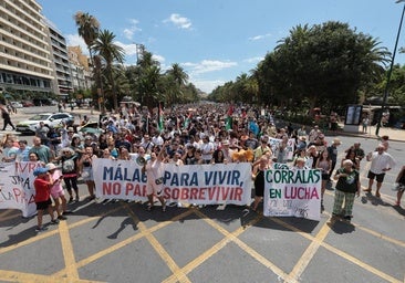 La manifestación del 29J en Málaga, en imágenes