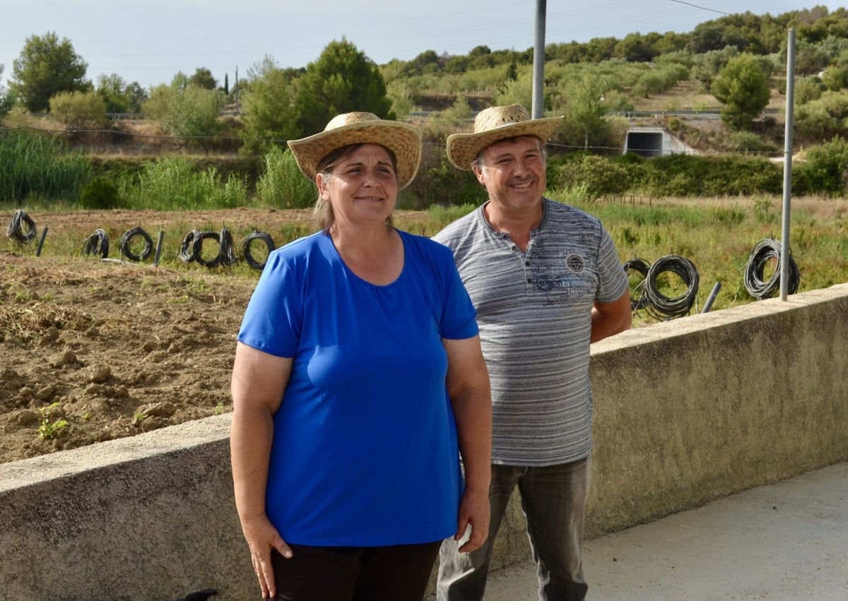 Imagen secundaria 1 - Visita a la finca para dar comienzo de la campaña del Tomate Huevo de Toro.