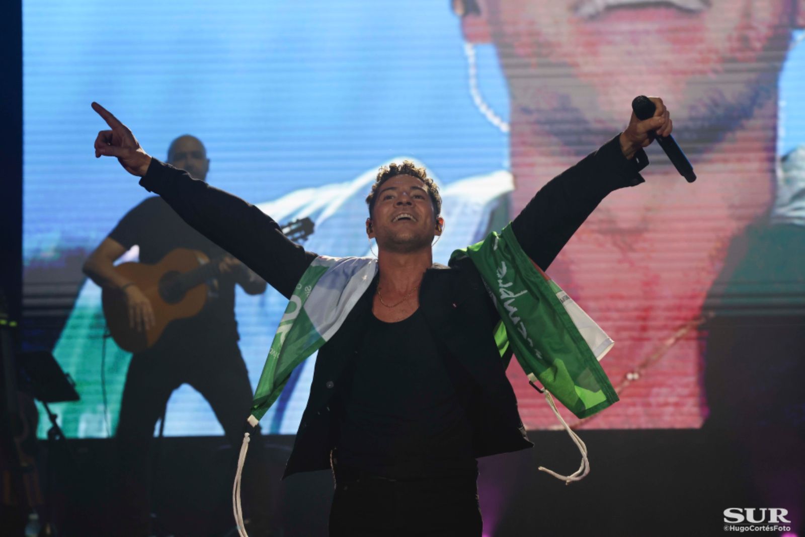 Las mejores imágenes del concierto de David Bisbal en Málaga