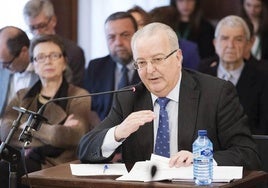 El Constitucional dice que Fernández no estaba «obligado oponerse a supuestas ilegalidades» si estaban en el presupuesto