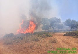 Imagen del incendio en Ronda.