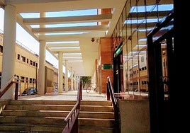 Acuerdan que los estudiantes andaluces puedan realizar prácticas en la Consejería de Inclusión Social