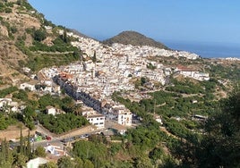 Imagen del casco urbano de Frigiliana, con numerosas zonas de cultivo de subtropicales.