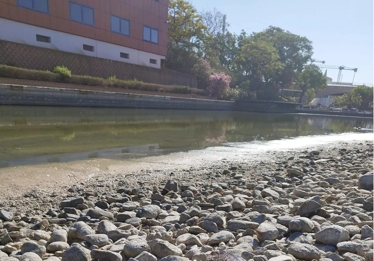 El PTA empieza a trasvasar agua a su lago tras las alertas sobre el riesgo para los animales