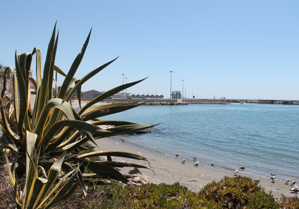 Al este de Torre del Mar, el puerto de La Caleta es conocido por la entrada de pescados de la zona.