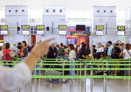 Mostradores de la T3 del aeropuerto de Málaga.