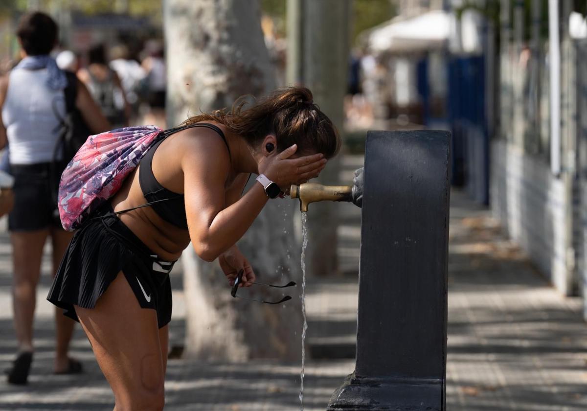 Expertos avisan: la primera ola de calor llega con posibles 'reventones secos' en Andalucía