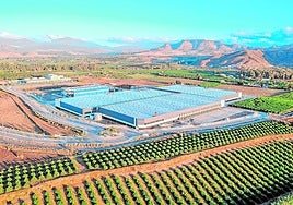 La logística ya tiene horizonte para crecer en Málaga