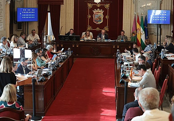 Tensión y griterío en el pleno: Vox se queda solo votando en contra de que Málaga ayude a los menores migrantes