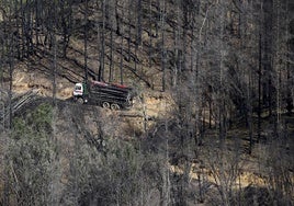 Un camión acarrea troncos en los trabajos de restauración en Sierra Bermeja.