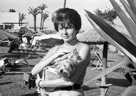 La princesa Soraya, con su perro, en el Pez Espada.