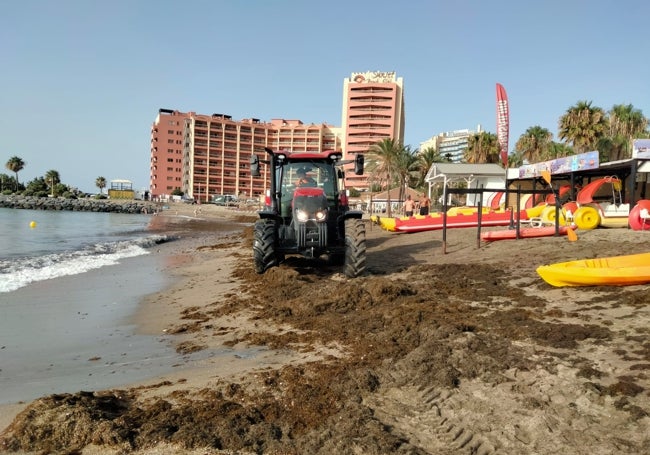 Maquinaria limpiando la playa.