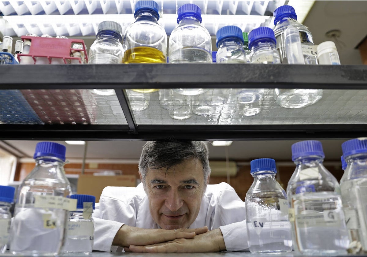 Enrique Viguera, en su laboratorio de la Facultad de Ciencias de la UMA.