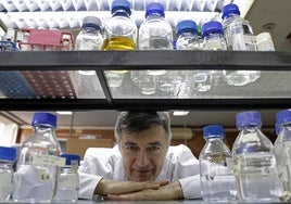 Enrique Viguera, en su laboratorio de la Facultad de Ciencias de la UMA.