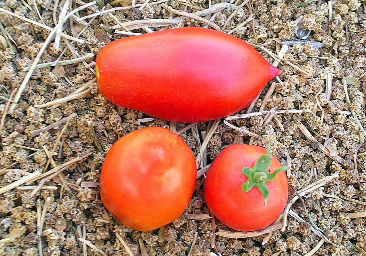 Valor añadido para dos tomates