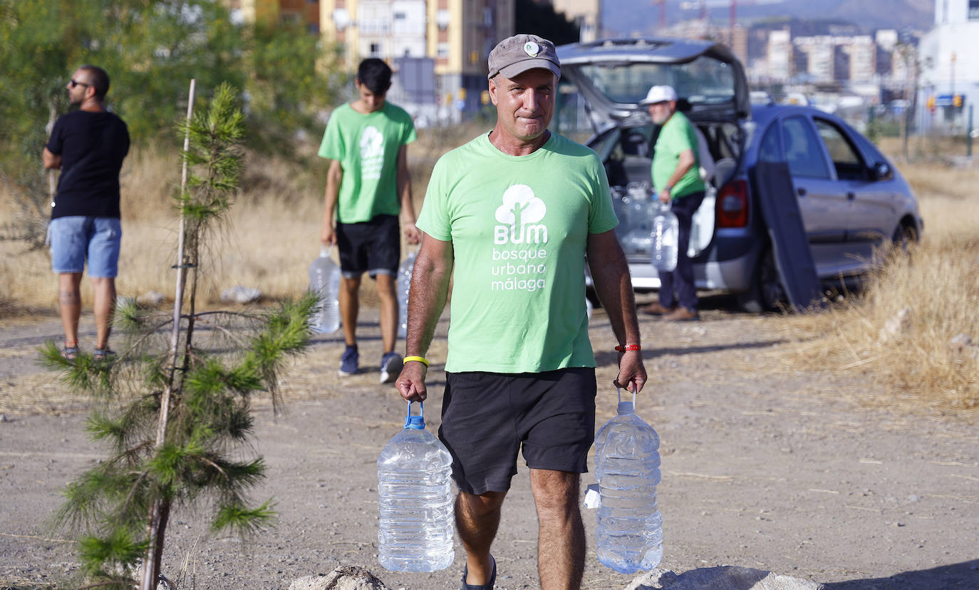 Imagen secundaria 2 - El refugio verde que crece en Málaga