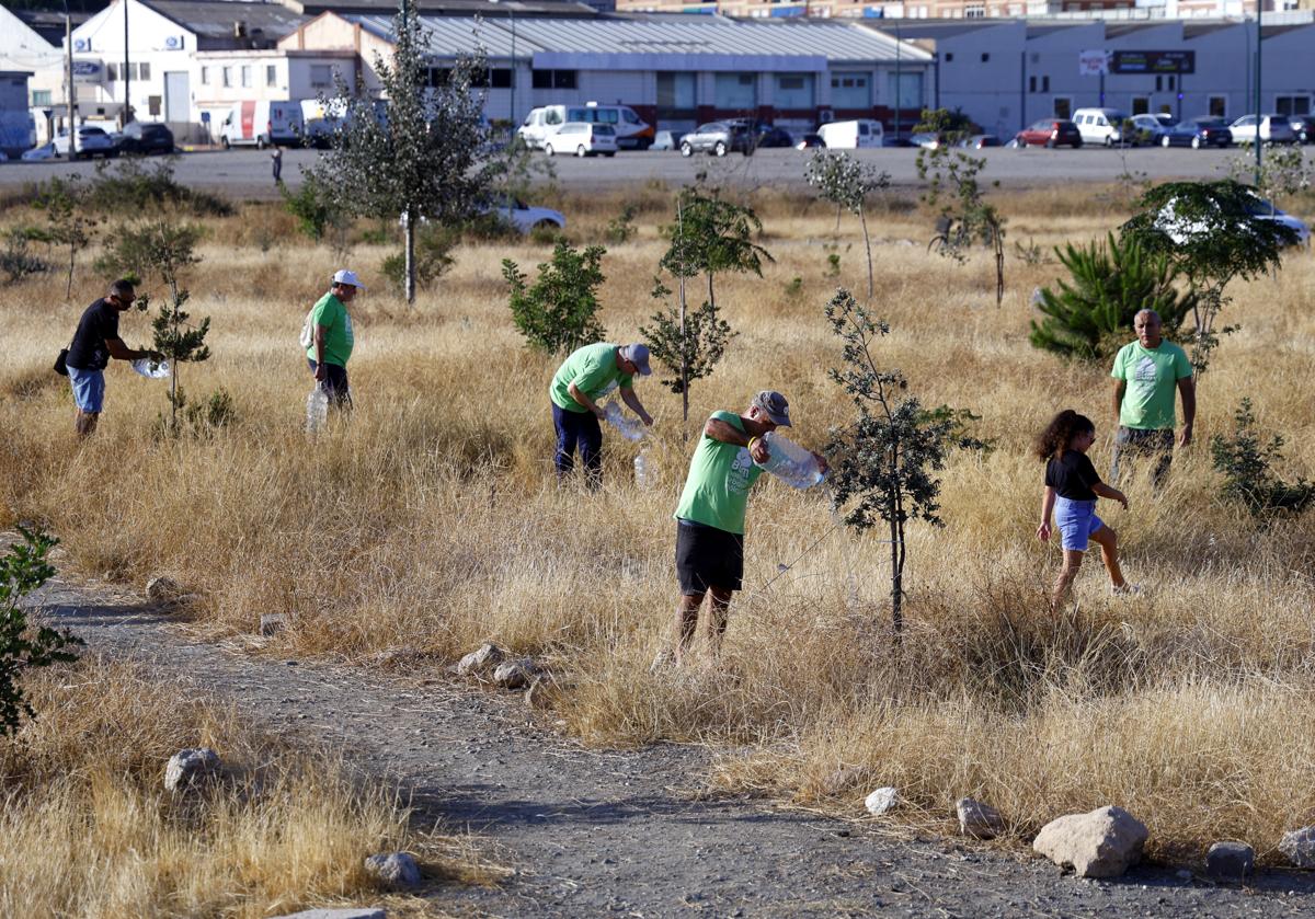 Imagen principal - El refugio verde que crece en Málaga
