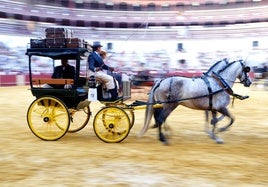 El Concurso de Enganches de Caballos anticipa la feria en La Malagueta