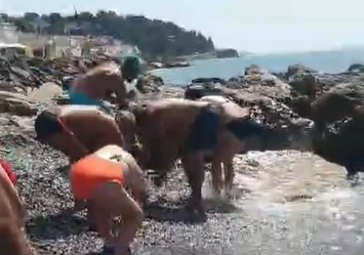 Bañistas, este domingo en el espigón de Mezquitilla de Vélez-Málaga tratando de salvar a los peces.