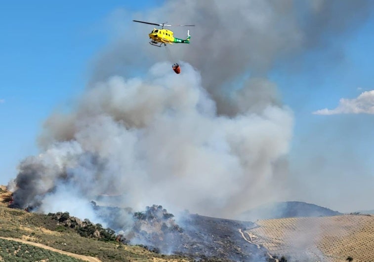 Declarado un incendio forestal en un paraje de Antequera