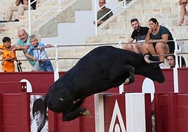 El cuarto novillo saltó al callejón de la plaza.