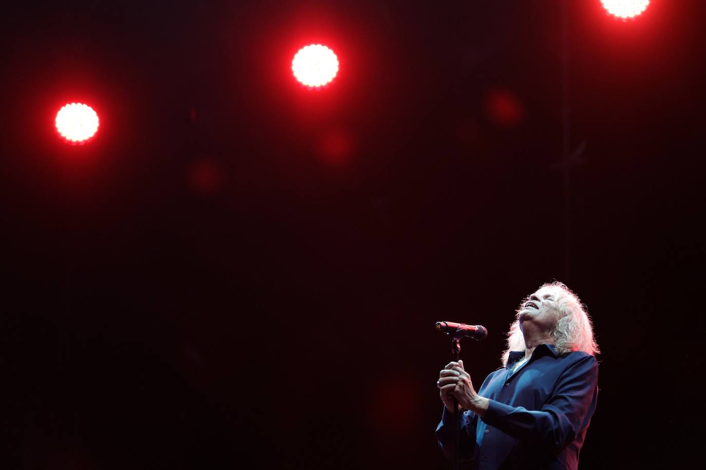 Noche flamenca en la Feria de Málaga