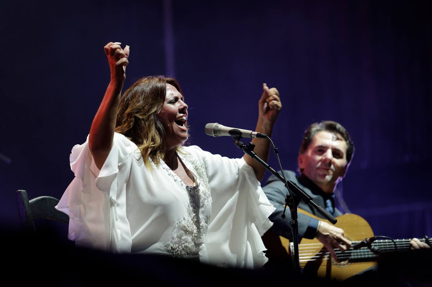 Noche flamenca en la Feria de Málaga