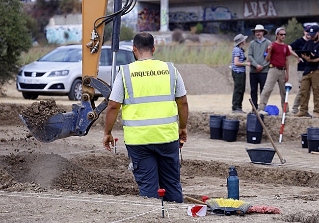 Los arqueólogos buscan esta campaña conocer las fases púnica y romana de esta antigua isla.