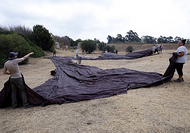 Los voluntarios colocan los toldos sobre los cortes arqueológicos para trabajar protegidos del sol.