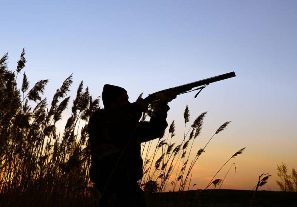 Los nuevas limitaciones que se imponen a los cazadores en Andalucía