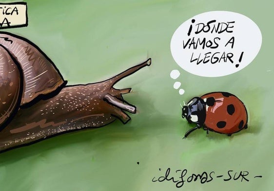 La viñeta de Idígoras (30/08/2024)