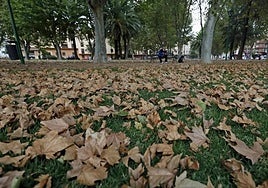 ¿Qué tiempo hará este otoño en Andalucía? La Aemet contesta