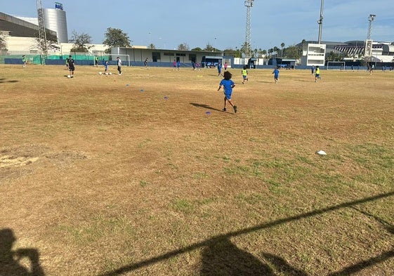 El campo en el que se entrenan ahora los equipos de la Fundación Deportiva del Málaga, de hierba seca, dentro de las instalaciones de la Federación Malagueña.