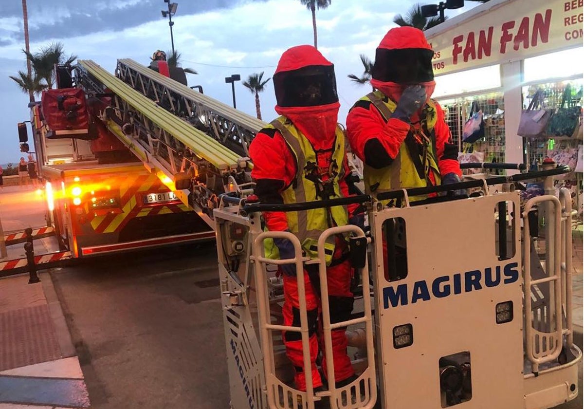 De noche, con la autoescala y trajes especiales: así ha sido el dispositivo para acabar con un nido de avispas orientales en Fuengirola