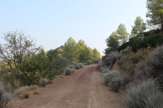 Este sendero es idóneo para disfrutar de los primeros días del otoño