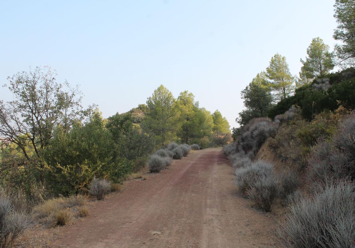 Este sendero es idóneo para disfrutar de los primeros días del otoño