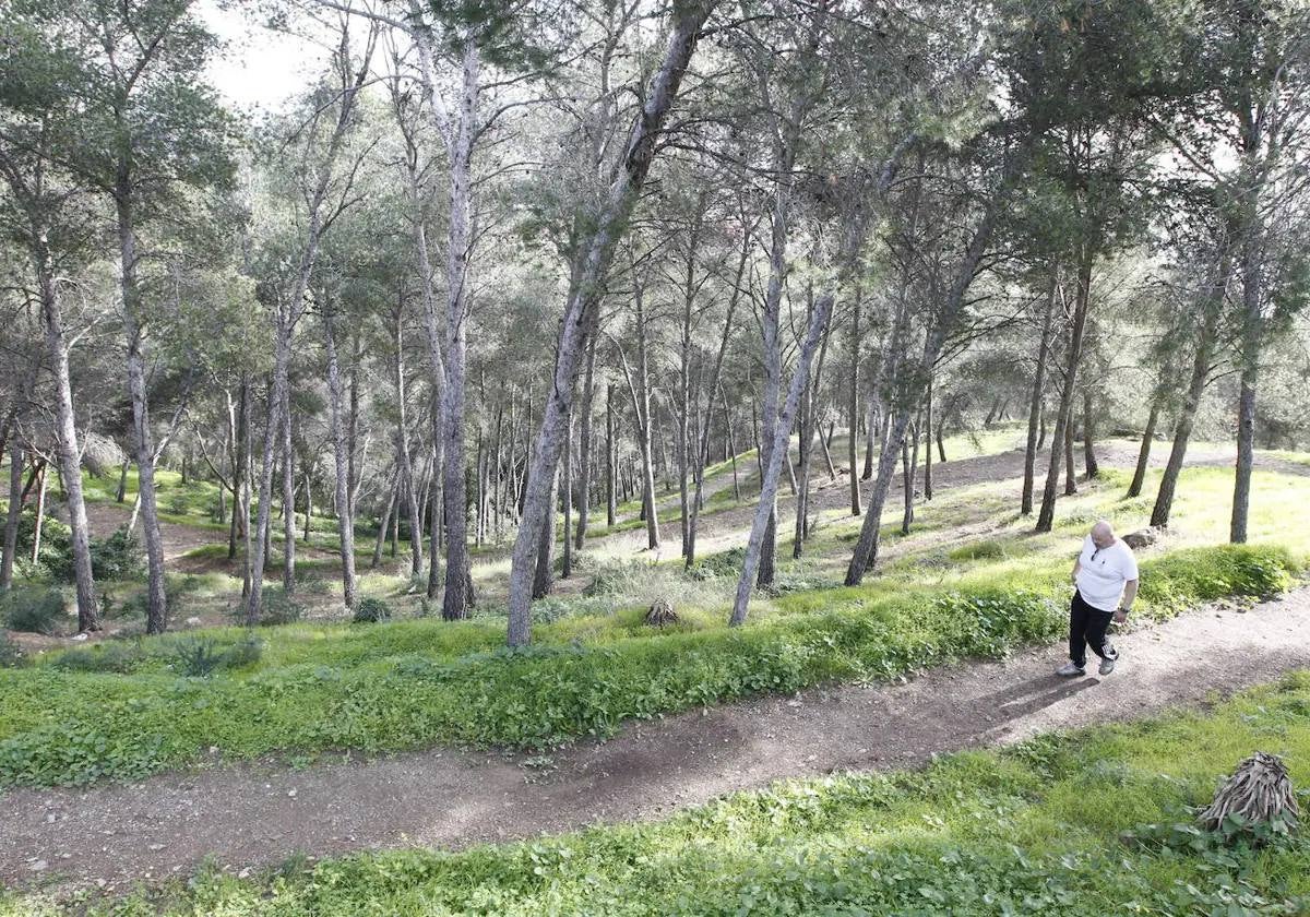 Zona de senderos del Monte Gibralfaro.